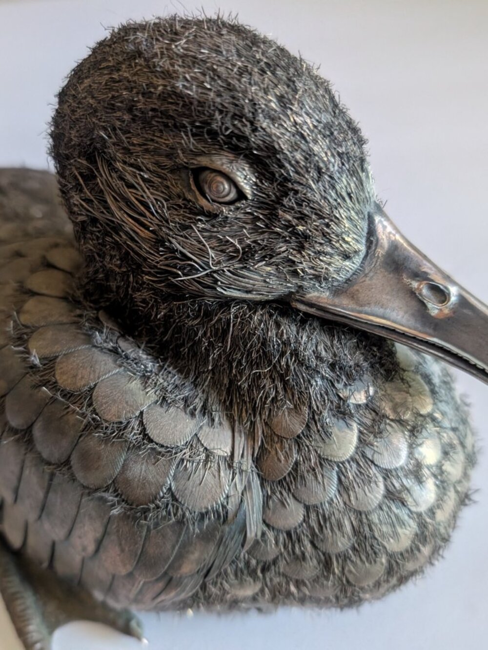 BUCCELLATI STYLE SILVER DUCK MARKED LISI, FI *615, PORTOFINO, ITALY - Picture 4 of 7